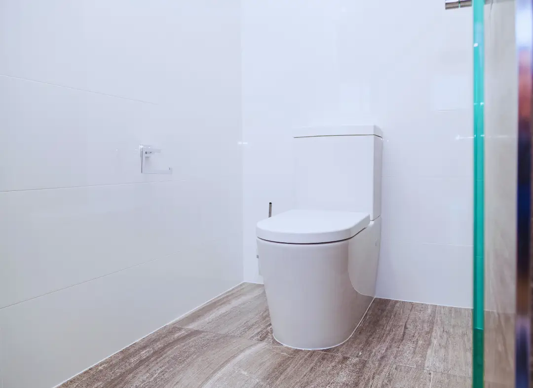 Remplacement de wc Apt